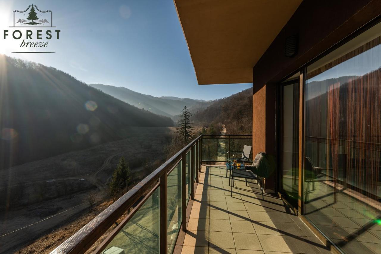 Forest Breeze Apartterrace Brasov