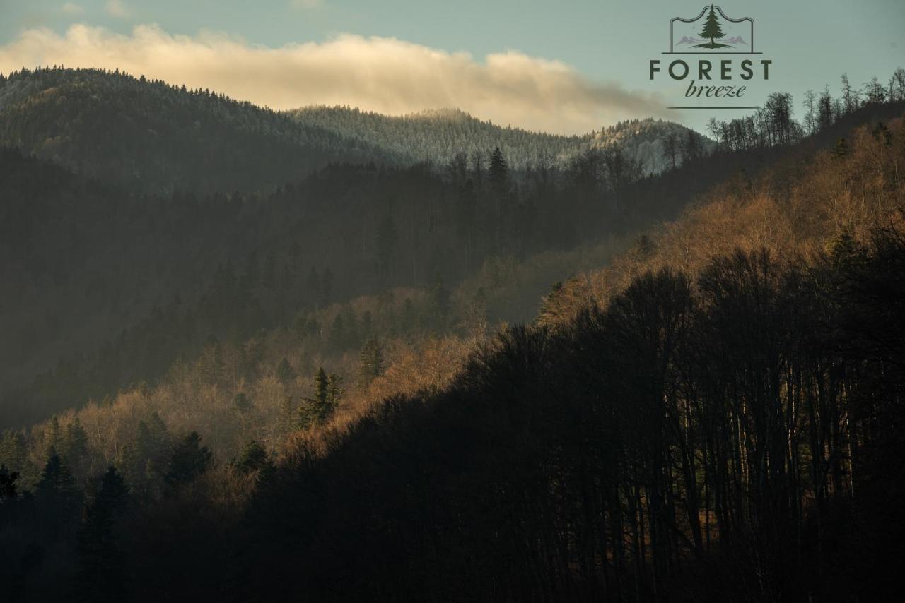 Forest Breeze Apartterrace Apartment *