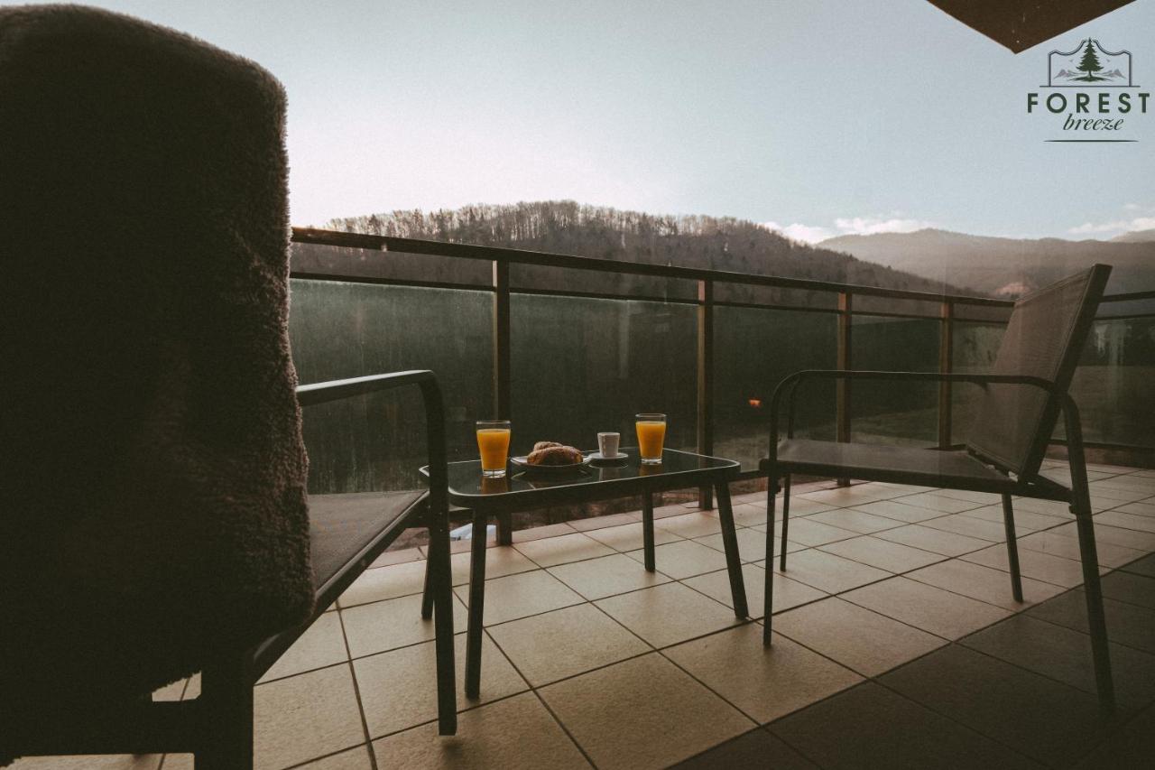 Forest Breeze Apartterrace * Brasov